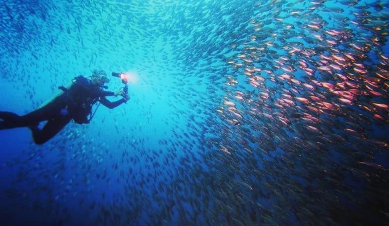 Love'S Beach & Dive Resort Moalboal Esterno foto