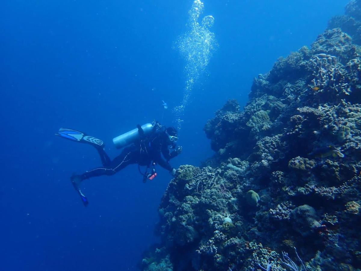 Love'S Beach & Dive Resort Moalboal Esterno foto